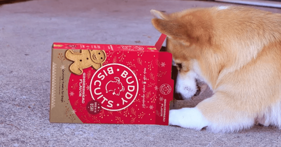 50% Off Holiday Pet Treats at Target – Stocking Stuffers for Cats & Dogs!