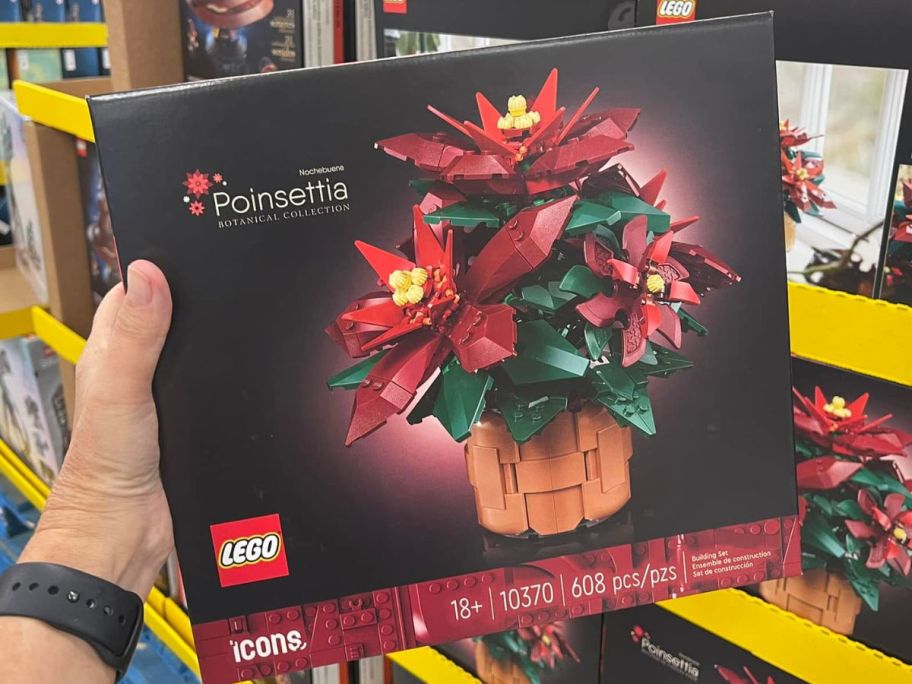 Hand holding Lego poinsettia box