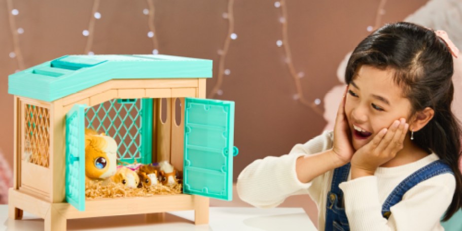 Mama Surprise Guinea Pigs Just $19 on Amazon or Walmart.com (Reg. $65)