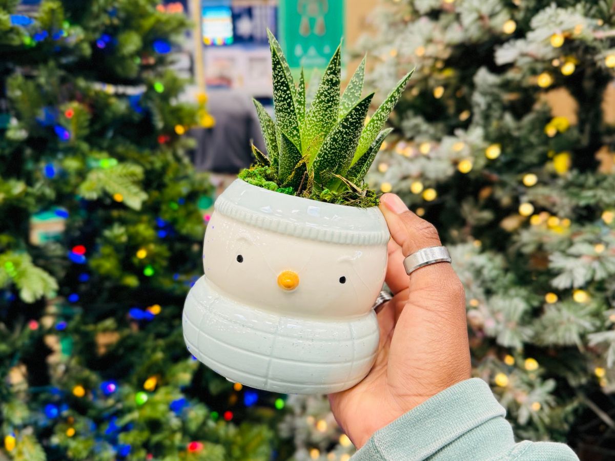 Parka Pals Live Succulent Plant w/ Snowman Planter JUST $8.98 at Lowe’s