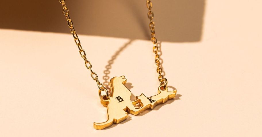 Close up of a mackenzie Treasury personalized pet necklace