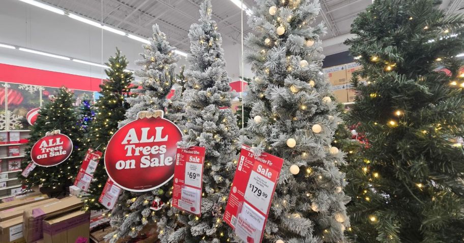 Christmas Trees on sale on display with signs at Michaels