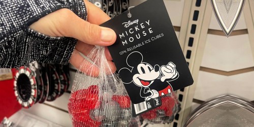 Dollar Tree Disney Finds Only $1.25 (Including Mickey Mouse Reusable Ice Cubes!)