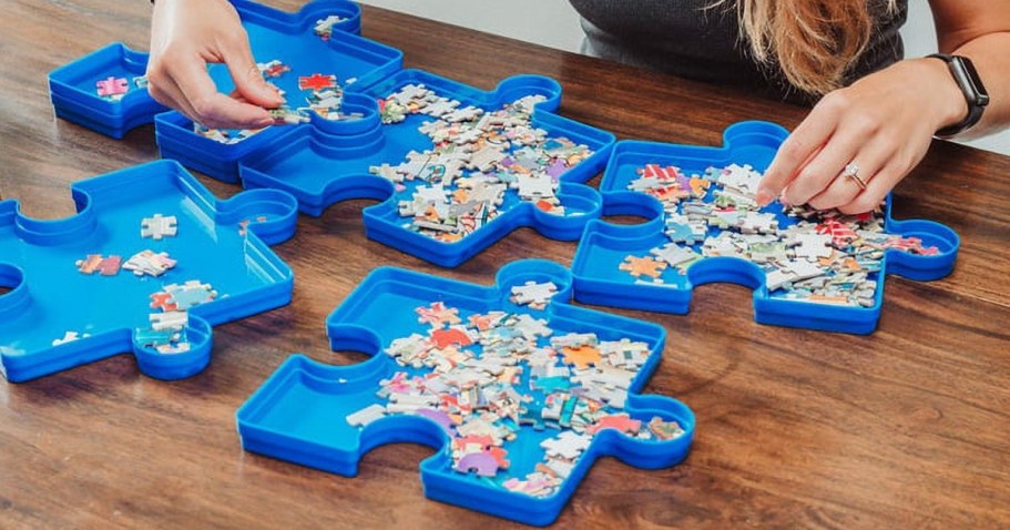 Puzzle Sorting Tray 6-Pack Only $8.99 on Target.com (Reg. $18)