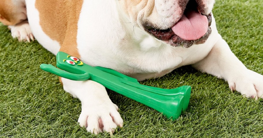 green rubber gumby toy on grass in front of dog