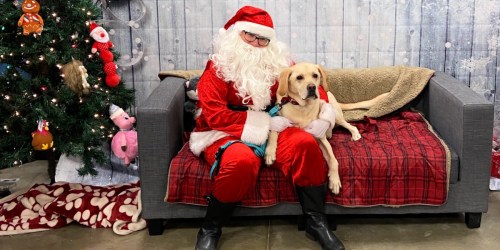 PetSmart FREE Photo with Santa on December 14th & 15th (Make Reservation NOW)