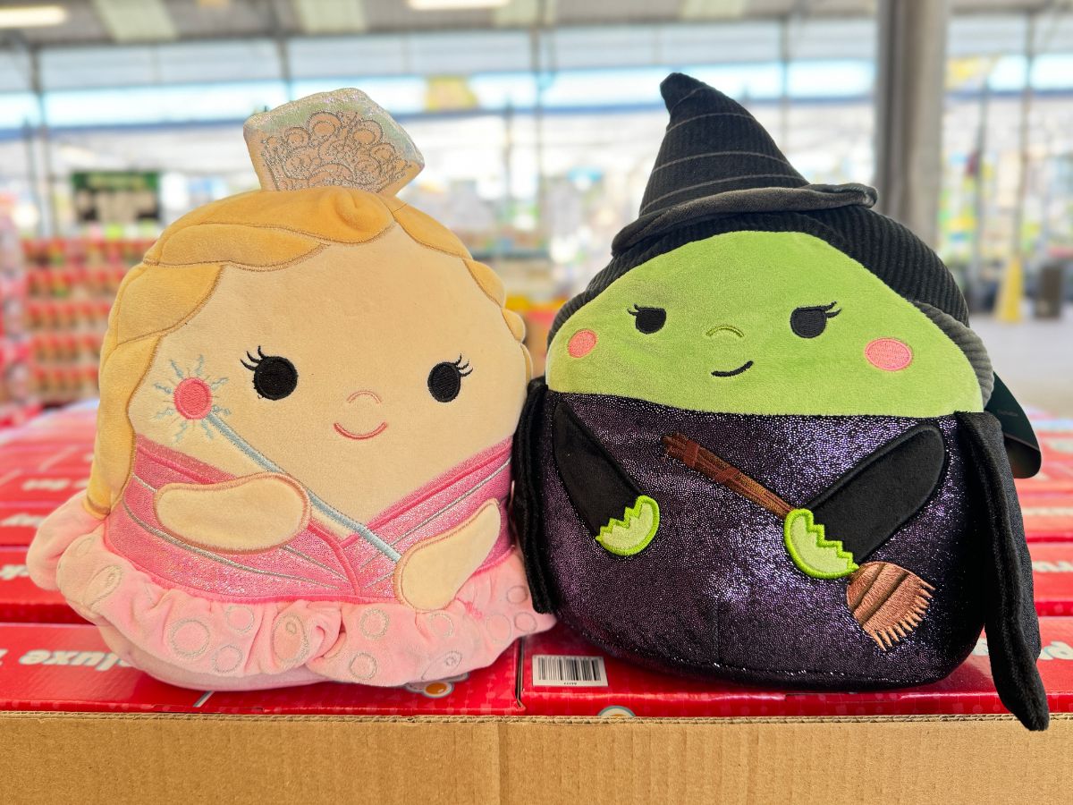 Gift Idea Alert: Wicked Squishmallows Only $14.97 on Walmart.com