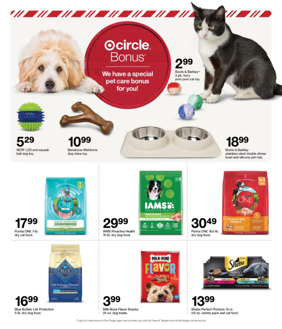 page from Target ad