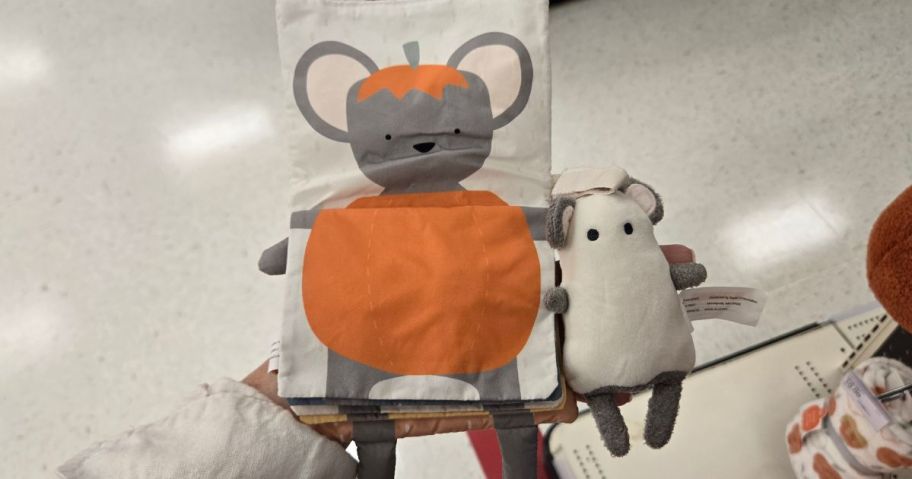 A book with a mouse in a pumpkin outfit