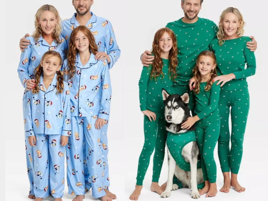 bluey and skiing polar bears matching family pajamas