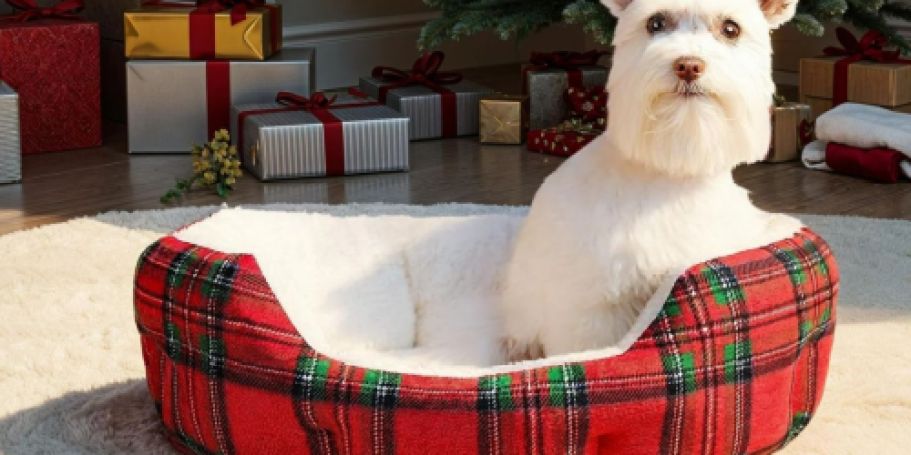 Christmas Pet Beds from $9.97 on Walmart.com