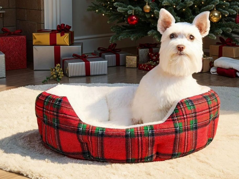A dog in a plaid dog bed in front of a Christmas tree