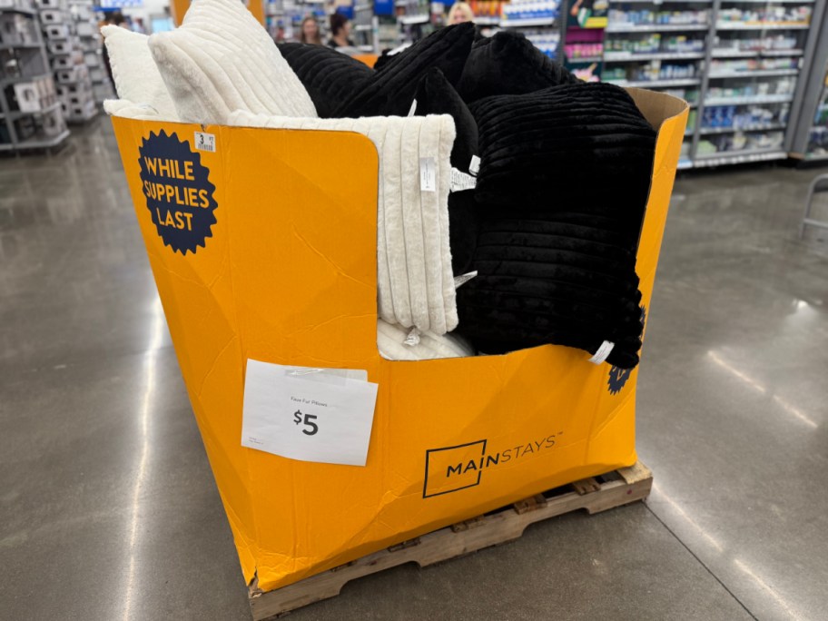 White & Black Walmart Throw Pillows in box at walmart