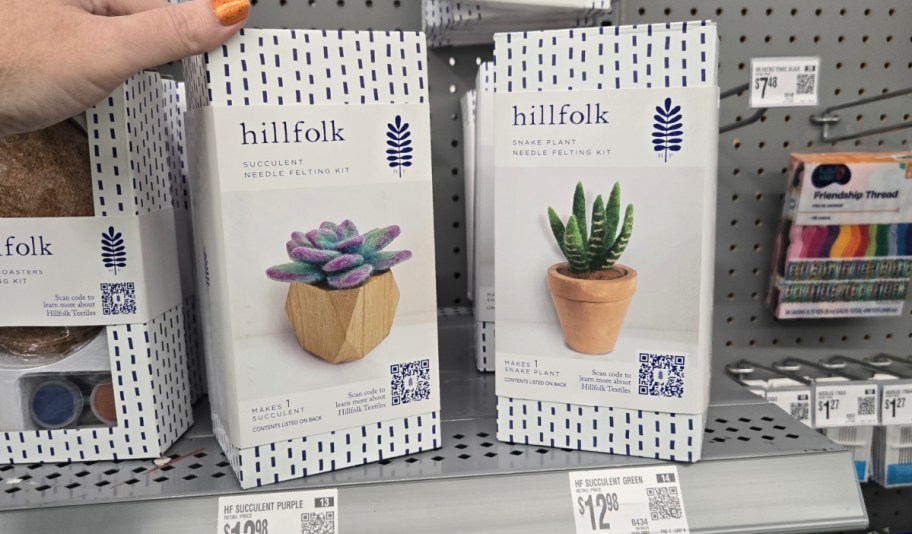 display of hillfolk succulent kits