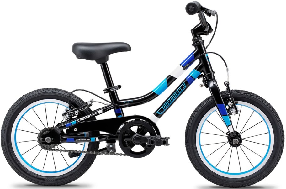 blue and black guardian kids bike 