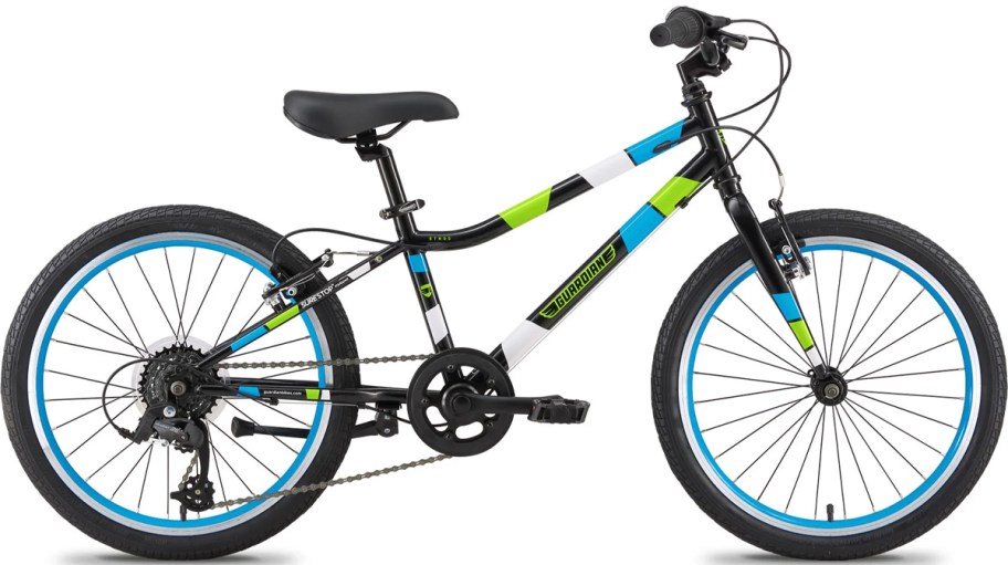 guardian kids 20" bike in blue and green 