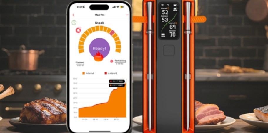 Score 50% Off Wireless Smart Meat Thermometer w/ 2 Probes on Amazon