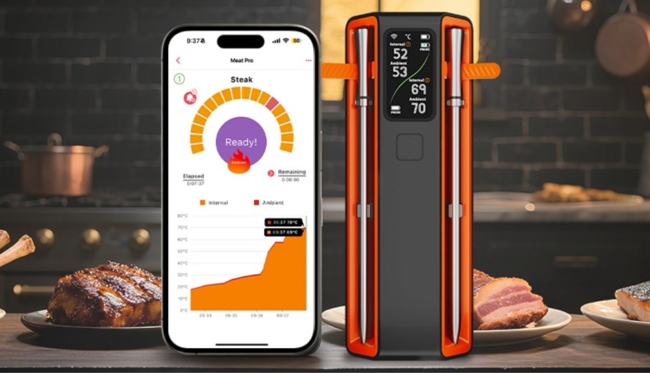 50% Off Wireless Smart Meat Thermometer w/ 2 Probes on Amazon