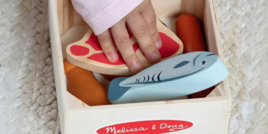 Melissa & Doug Food Groups Set ONLY $2.88 After Cash Back on Walmart.com