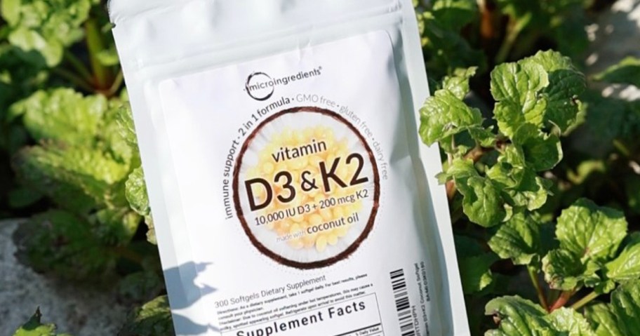 back of vitamin d3 and k2 supplement in bushes