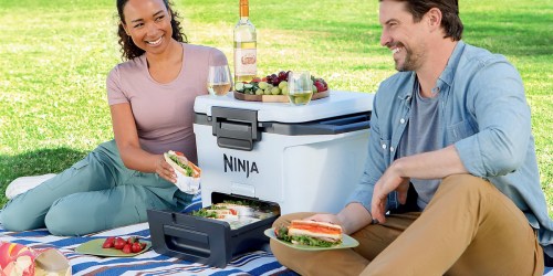 Ninja Cooler from $149.98 Shipped ($225 Value) – Keeps Ice for FIVE Days!