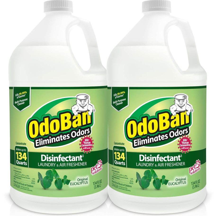 OdoBan Disinfectant Concentrate & Odor Eliminator Eucalpytus 134oz 2 pack stock image