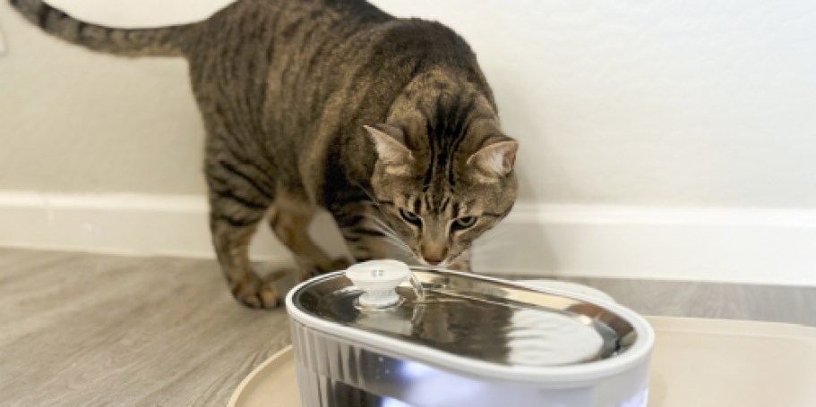 Cat Water Fountain Only $15.99 on Amazon (Removes 99.9% of Impurities)