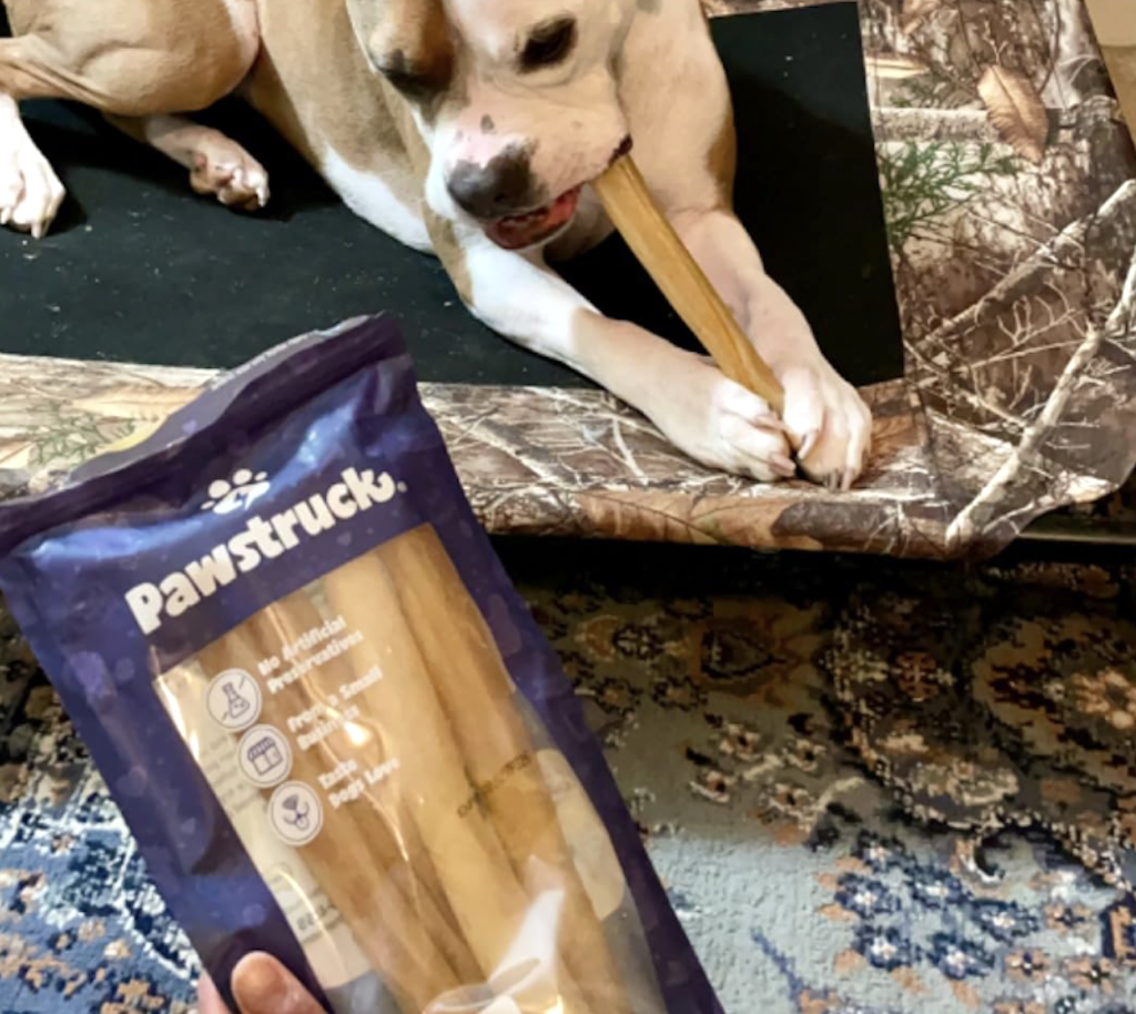 Highly-Rated Pawstruck Natural Dog Treats from $9 Shipped on Amazon