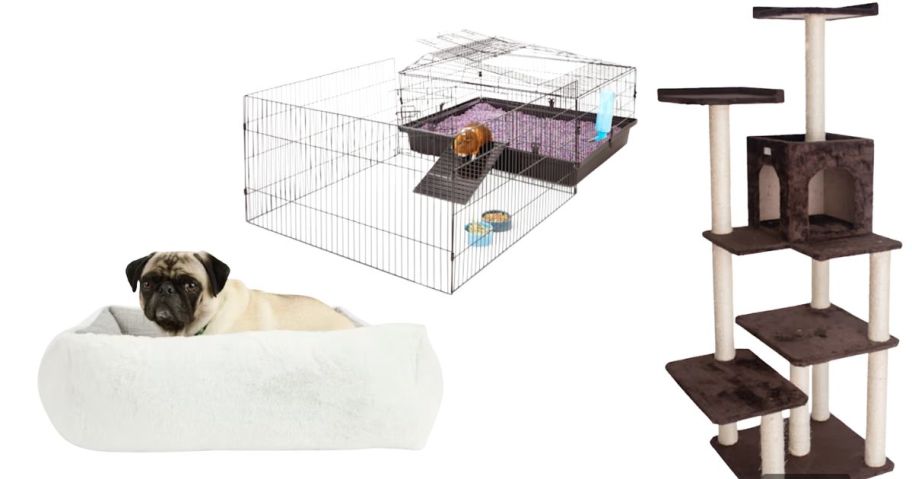 dog on bed, small pet cage, and cat tree