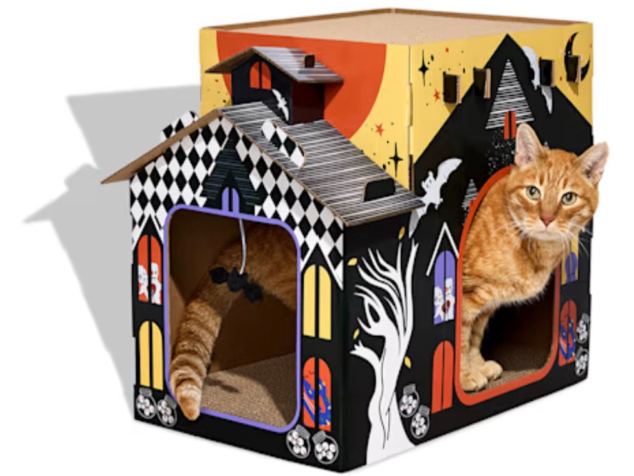 haunted cat scratcher house with orange cat inside