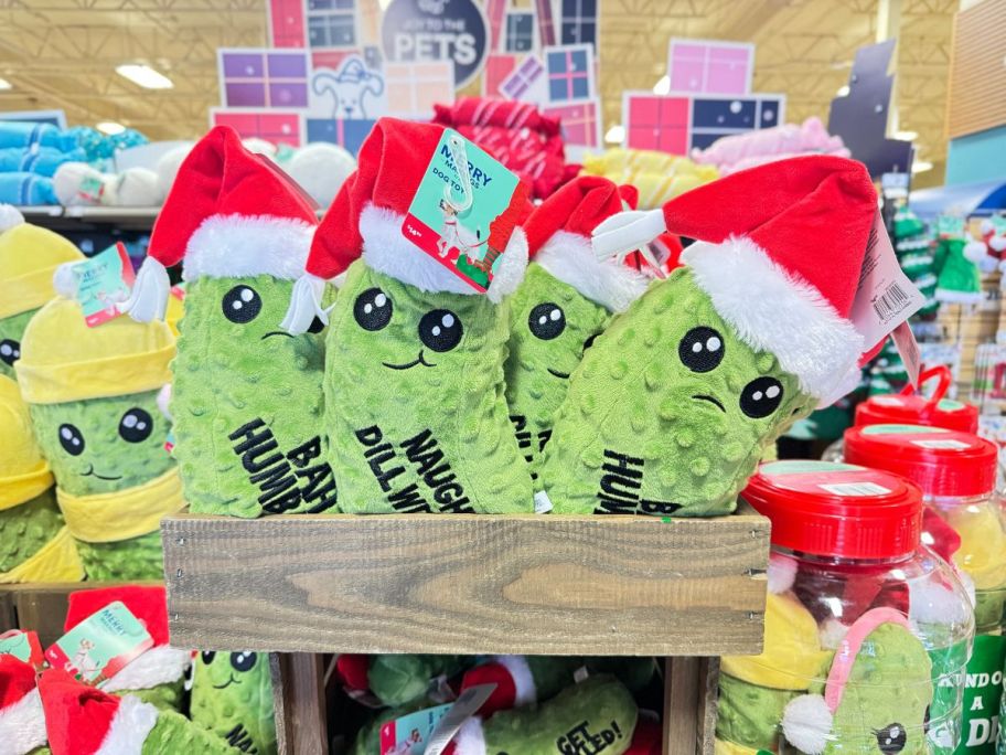 box of pickle pet toys in store