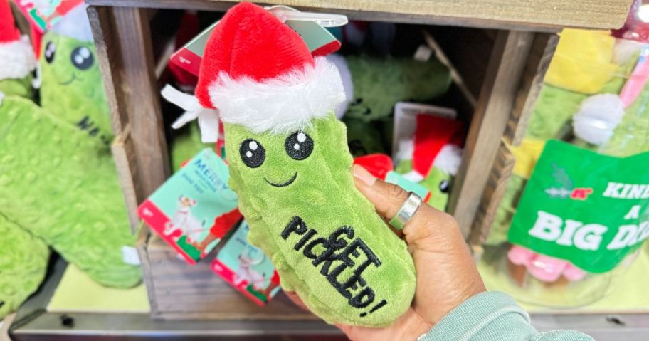 petco pickle toy in hand in store