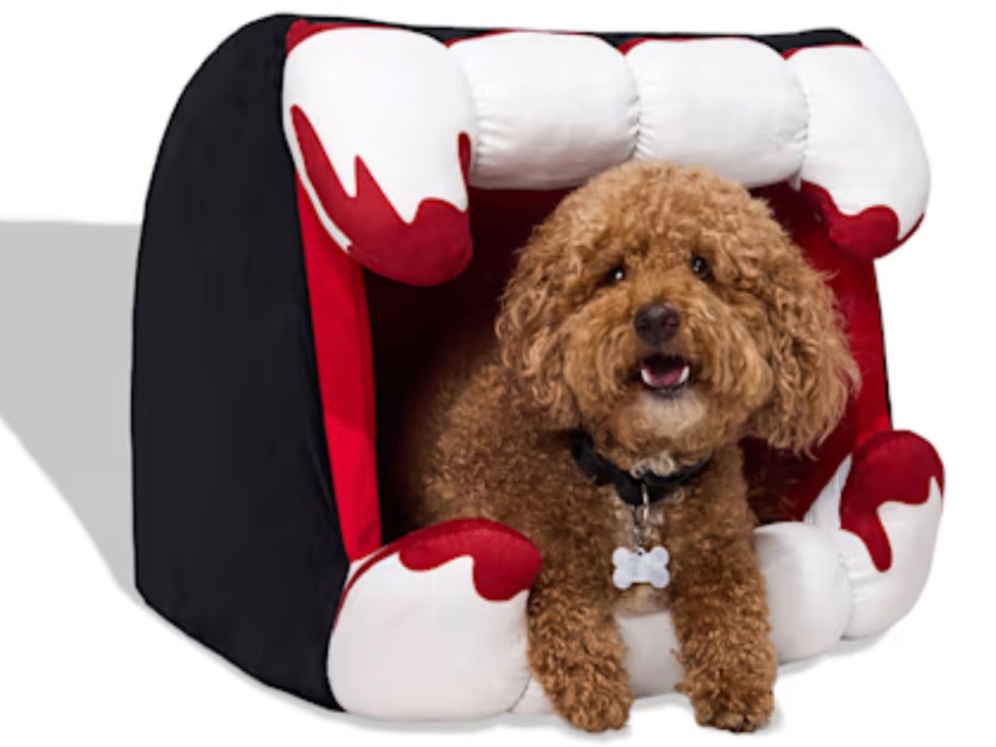 vampire dog bed with brown dog inside 