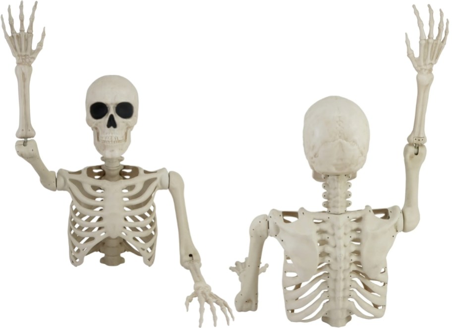 skeleton groundbreaker from front and back