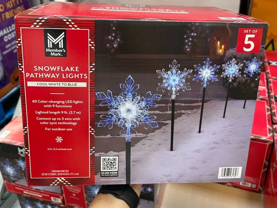 Snowflake Pathway Stakes box in store
