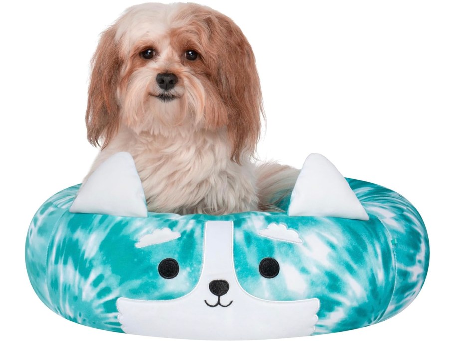 blue and white corgi squishmallows pillow with dog sitting in it 