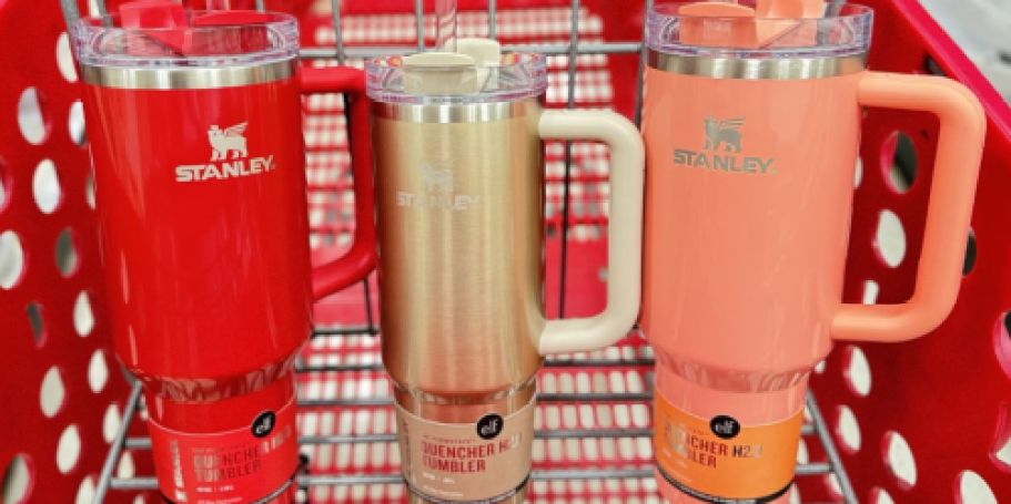 FREE $5 Target Gift Card w/ Stanley x e.l.f. Tumbler Purchase