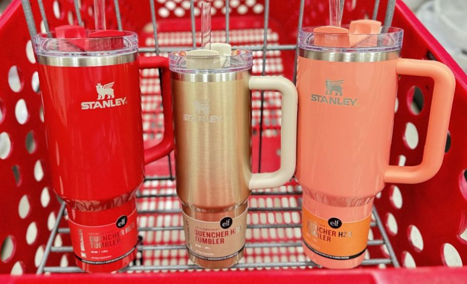 FREE $5 Target GiftCard w/ Stanley x e.l.f. Tumbler Purchase