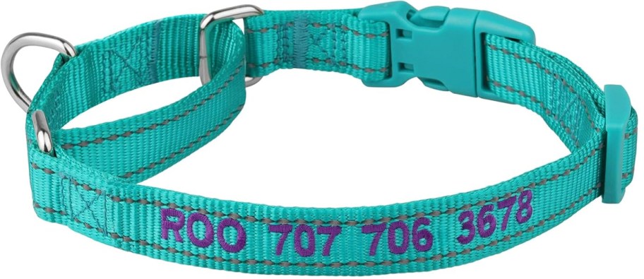 teal suncliff dog collar 