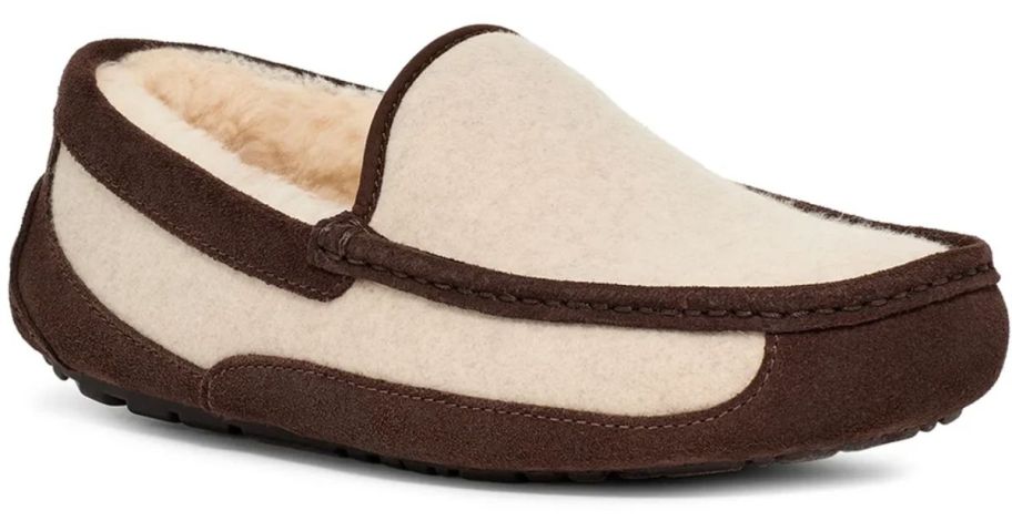 cream and chocolate ugg slipper