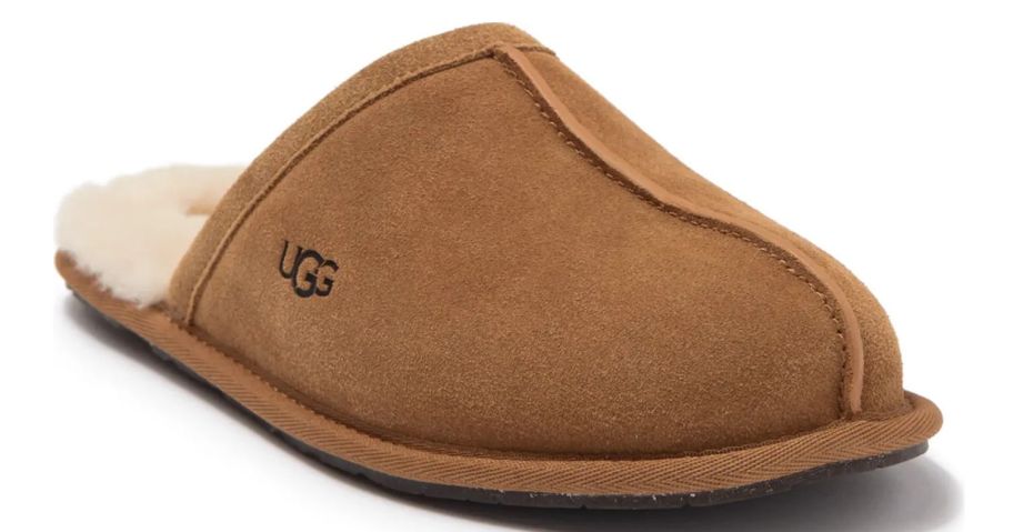 brown ugg slipper