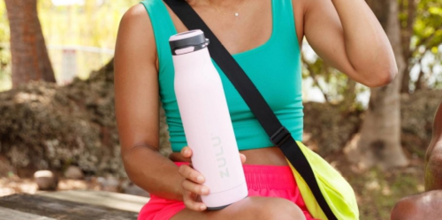 Zulu Stainless Steel Water Bottle JUST $6.99 on Target.com!