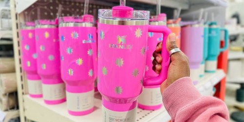 NEW Target Stanley Tumblers Available Now (May Sell Out!)