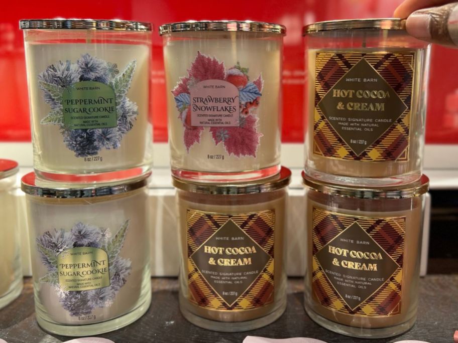 Bath & Body Works Single Wick Candle