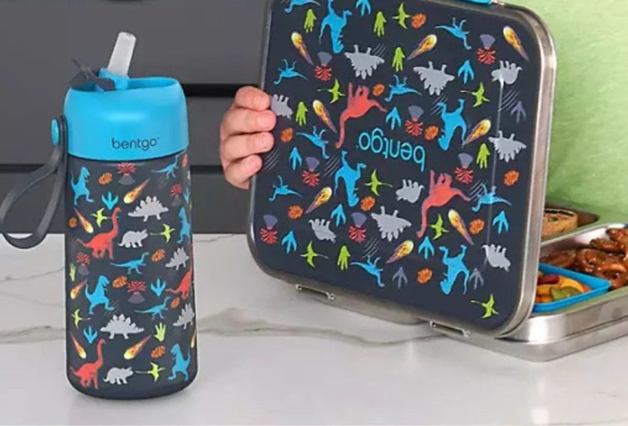 Bendy stainless steel lunch box and water bottle