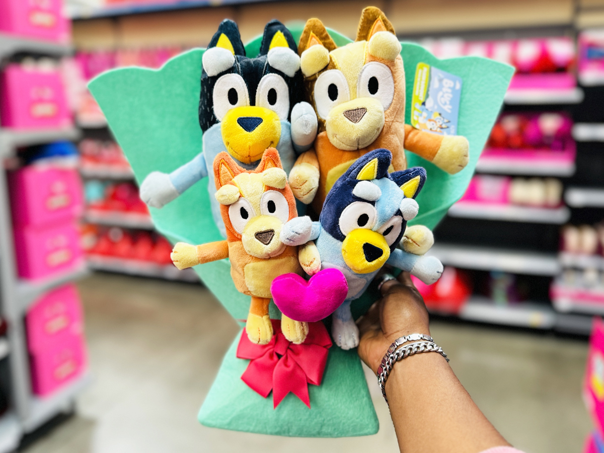 Plush Valentine’s Bouquets at Walmart | Bluey, Stitch, Care Bears, Sonic & More