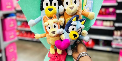 Plush Valentine’s Bouquets at Walmart | Bluey, Stitch, Care Bears, Sonic & More