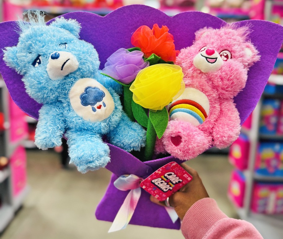 hand holding Care Bears Plush Valentine's Bouquet with blue and pink bears