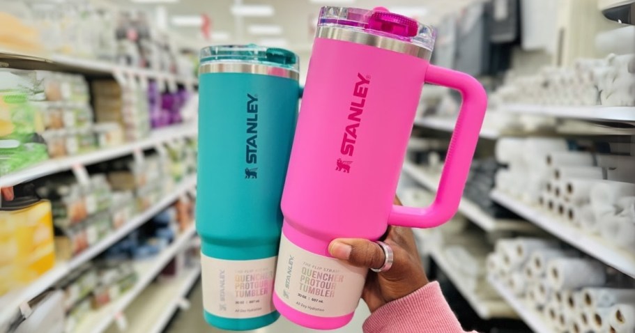 Eeeek… We’re Giving Away OVER 100 Stanley Tumblers