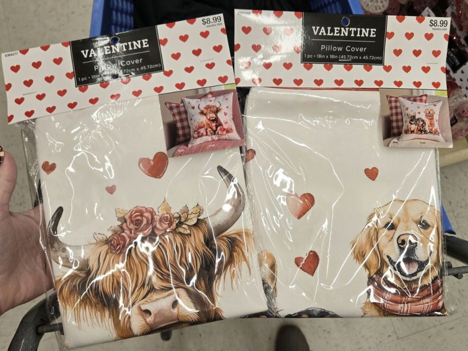 Two Valentine's Day Pillowcases from Hobby Lobby